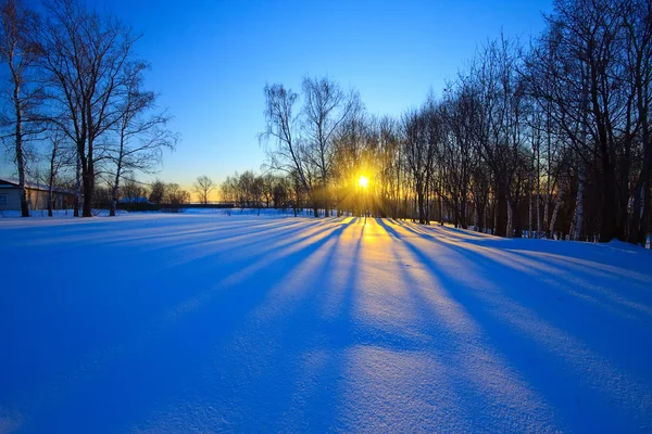 Schöner Sonnenuntergang im Winterwald — Stockfoto