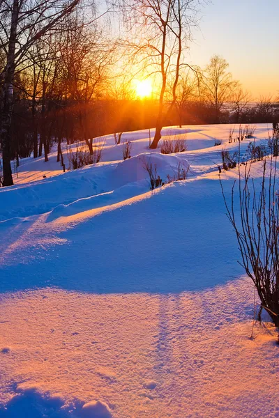 Vacker solnedgång i vinter skog — Stockfoto