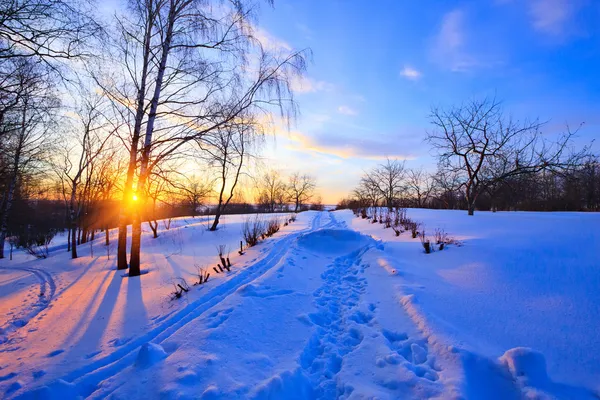 Сельская местность зимой, Россия — стоковое фото
