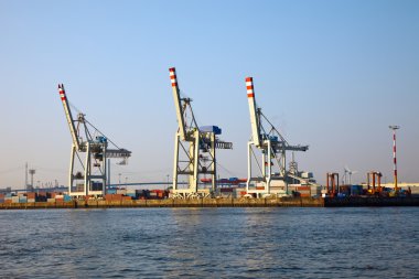 Cranes in Hamburg harbor clipart