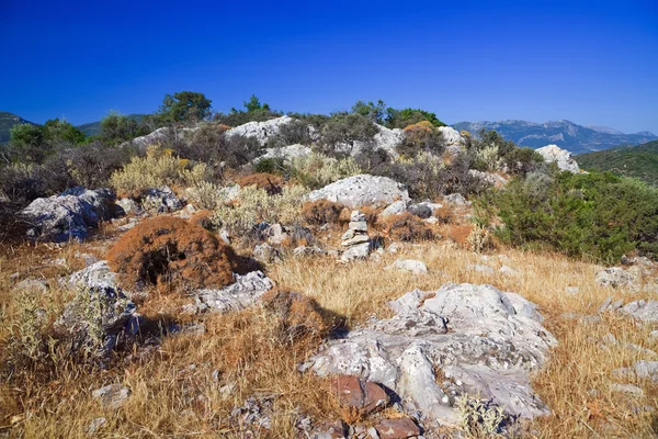 Greek landscape, Poros — Stock Photo, Image
