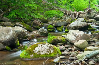 Wooden river in Shenandoah national park clipart