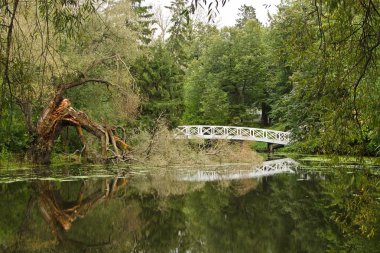 Landscape with pond and broken tree clipart