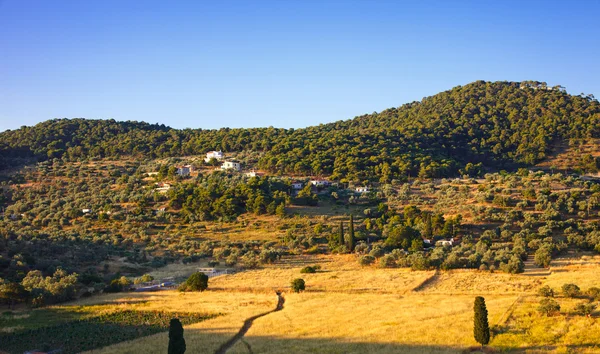 Green valley on Poros, Greece — Stock Photo, Image