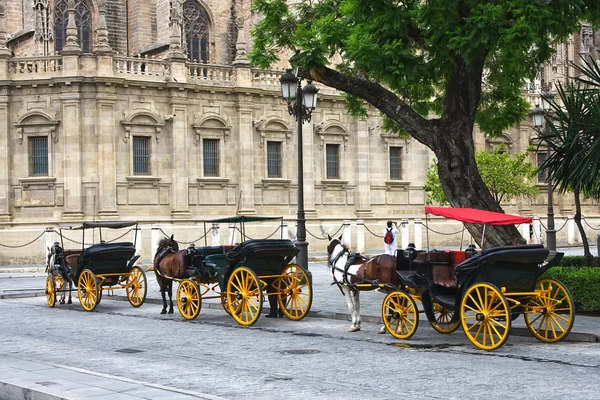Caballos y carros fuera de la catedral de Sevilla — Foto de Stock