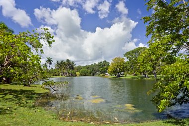 Fairchild tropical botanic garden, FL clipart