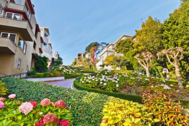 Lombard Street in San Francisco clipart