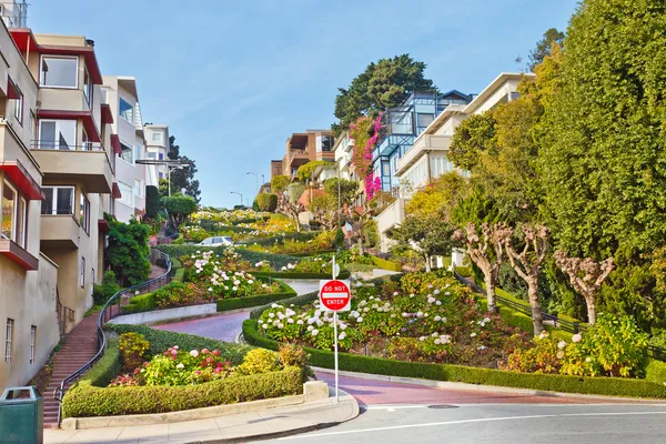 San Francisco 'daki Lombard Caddesi. — Stok fotoğraf