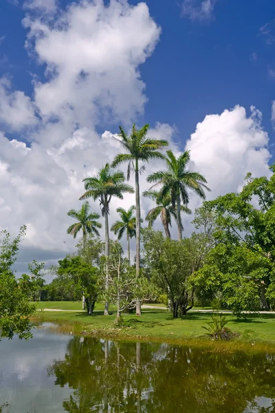 stock image Fairchild tropical botanic garden, FL