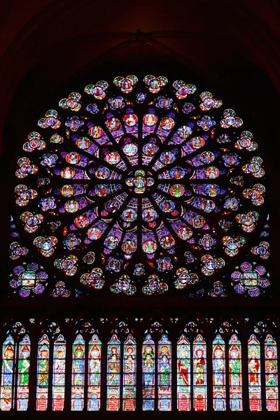 在巴黎圣母院的彩绘玻璃窗口 — 图库照片
