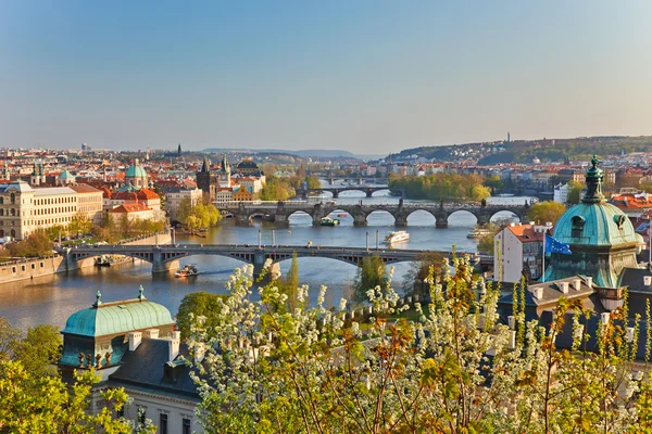 Visa på Prags broar — Stockfoto
