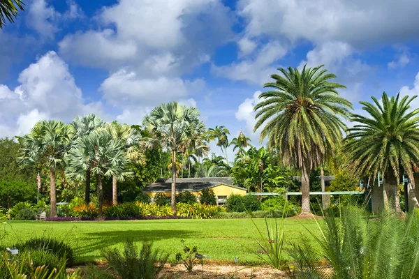 Fairchild tropical botanic garden — Stock Photo, Image