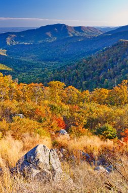 Autumn in Shenandoah National park clipart
