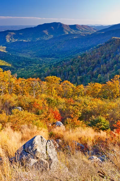 Hösten i shenandoah national park — Stockfoto