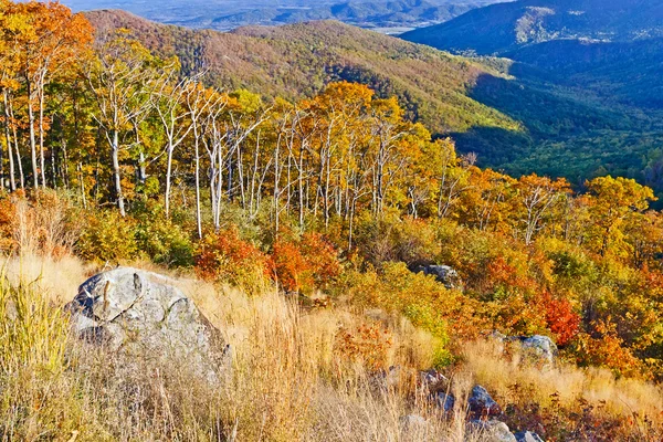 Autumn in Shenandoah National park — Stock Photo, Image