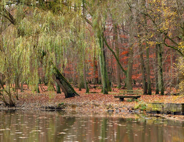 Teich im herbstlichen Park lizenzfreie Stockfotos