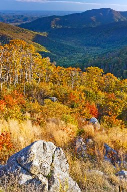 Shenandoah National park clipart