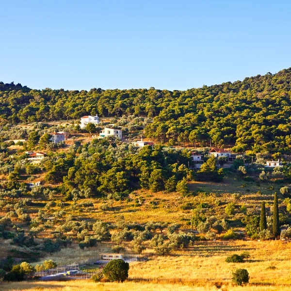 Green valley, Poros — Stock Photo, Image