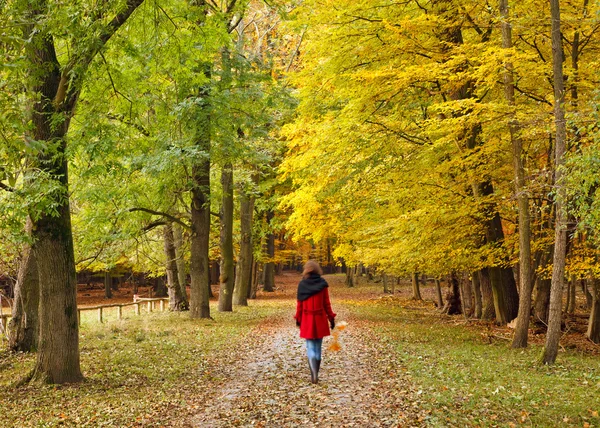 Walking in autumn park — Stock Photo, Image