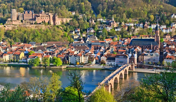 Heidelberg at spring — Stock Photo, Image