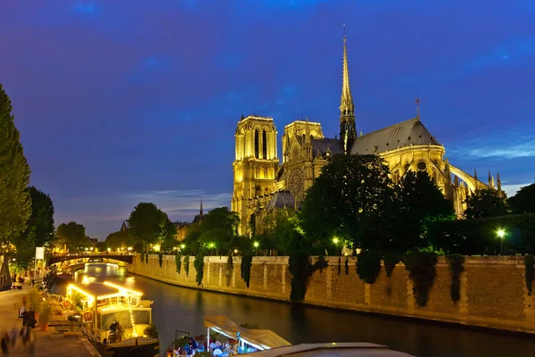 Notre Dame de Paris w nocy — Zdjęcie stockowe