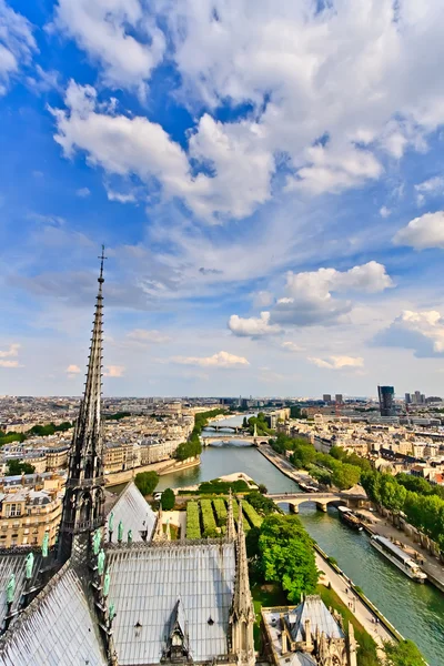 Вид на Париж з Нотр-Дам, Франція — стокове фото