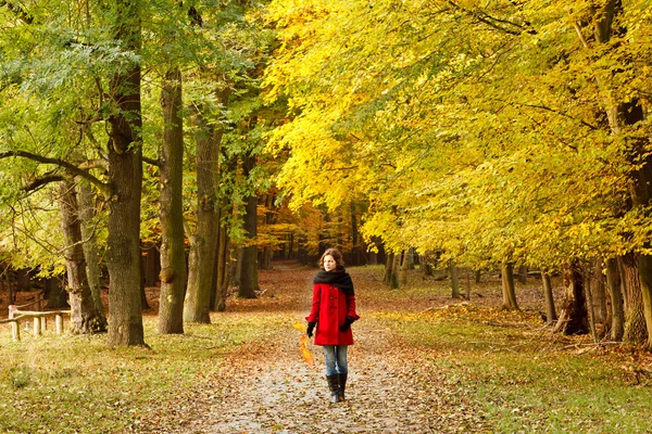 stock image Young woman in autumn park