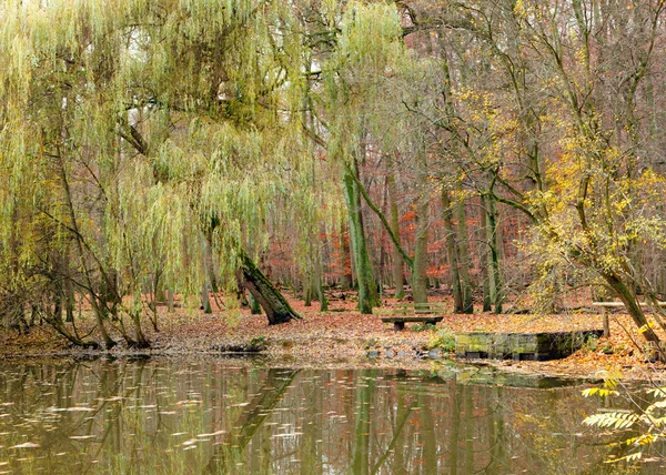Teich im herbstlichen Park lizenzfreie Stockbilder
