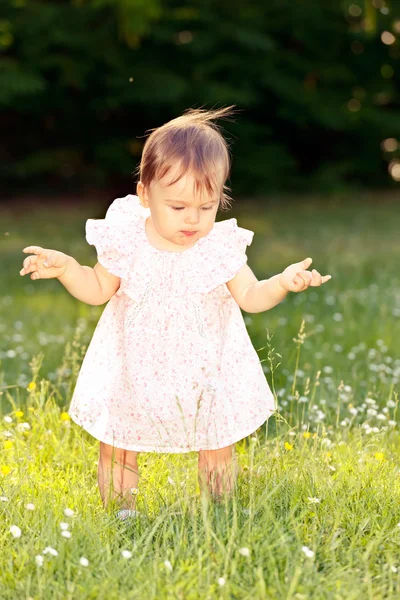 Klein meisje in een weide — Stockfoto