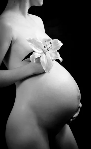 Černý a bílý obraz krásné těhotné ženy — Stock fotografie