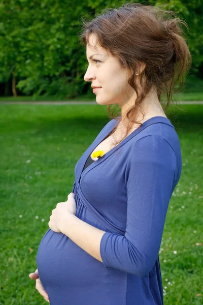 漂亮的孕妇 — 图库照片