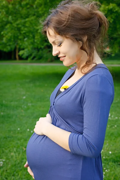 아름다운 임신 한 여인의 사진 — 스톡 사진