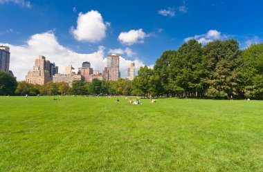 Central park in New York clipart