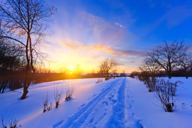 Beautiful winter sunset clipart