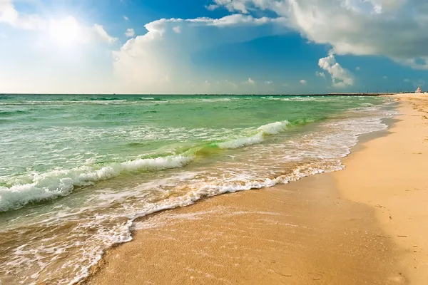 海滩在迈阿密，佛罗里达州 — 图库照片