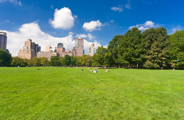 Центральный парк в Нью-Йорке — стоковое фото