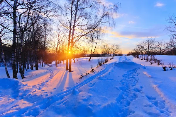 Téli naplemente — Stock Fotó