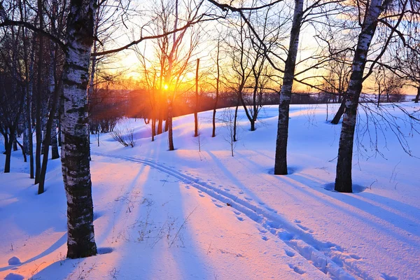 Beau coucher de soleil d'hiver — Photo