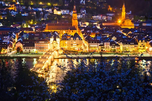 Heidelberg v noci, Německo — Stock fotografie