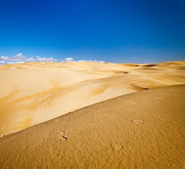 Dunes de sable — Photo