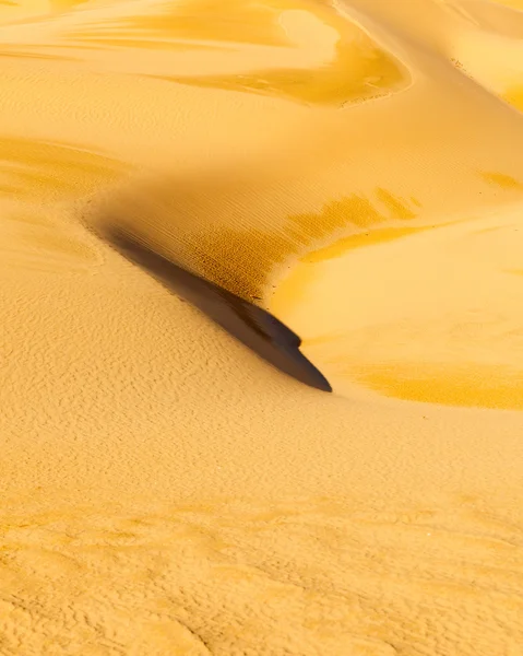 Désert de sable — Photo