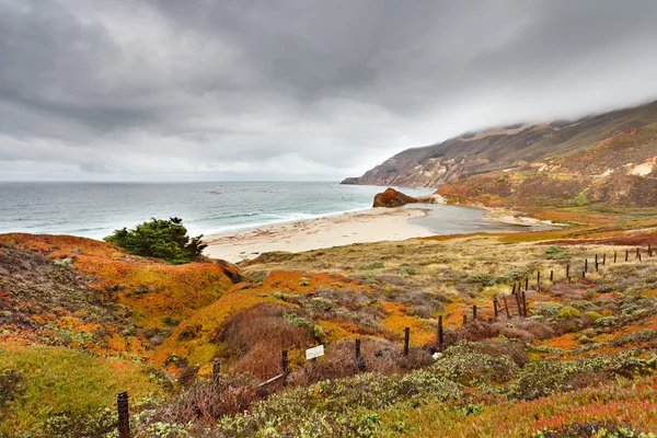 Praia em Big Sur, Califórnia, EUA — Fotografia de Stock