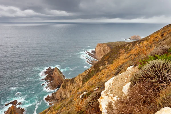 Ocean coast in Big Sur, California, Stati Uniti — Foto Stock