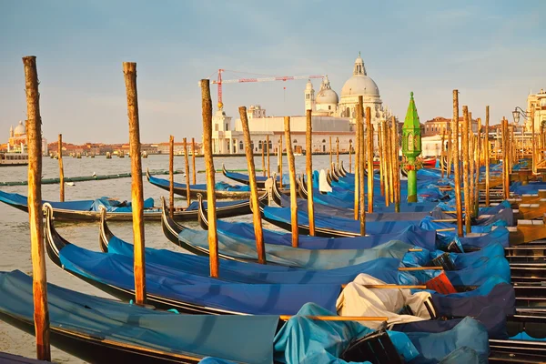 Morgon i Venedig — Stockfoto