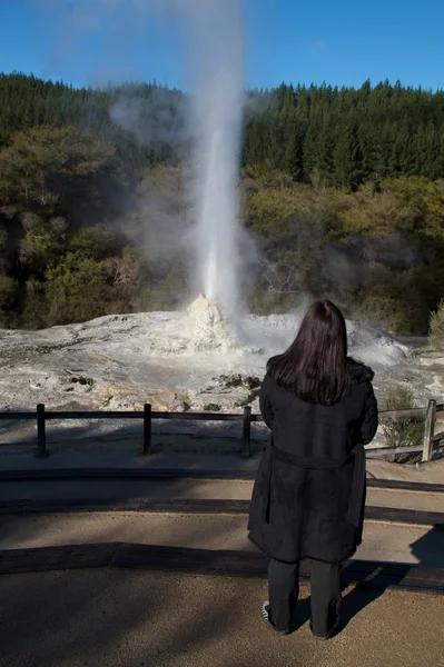 Senhora knox geyser — Fotografia de Stock