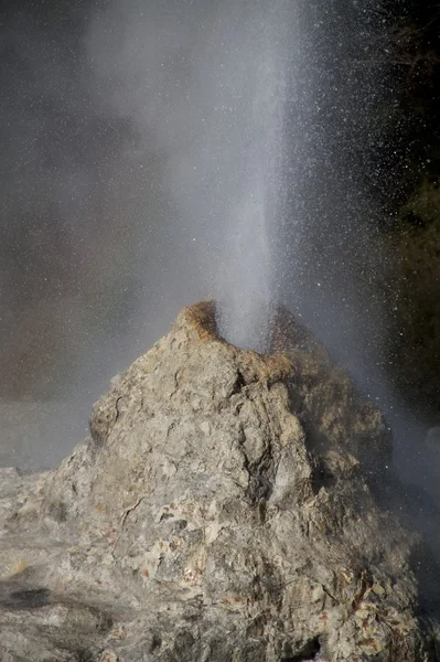 Senhora knox geyser — Fotografia de Stock