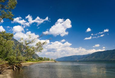 Tree and mountain at lake coast clipart