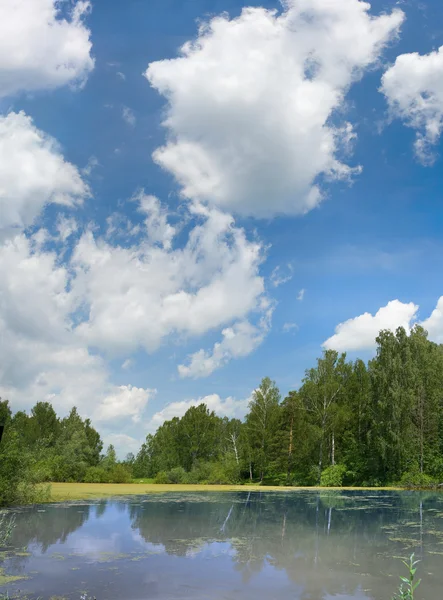 Pond with clouds on blue sky — Stock Photo, Image
