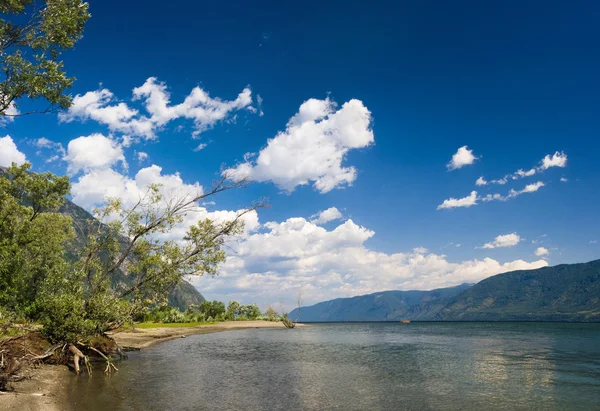Fa és hegyi tó partján — Stock Fotó