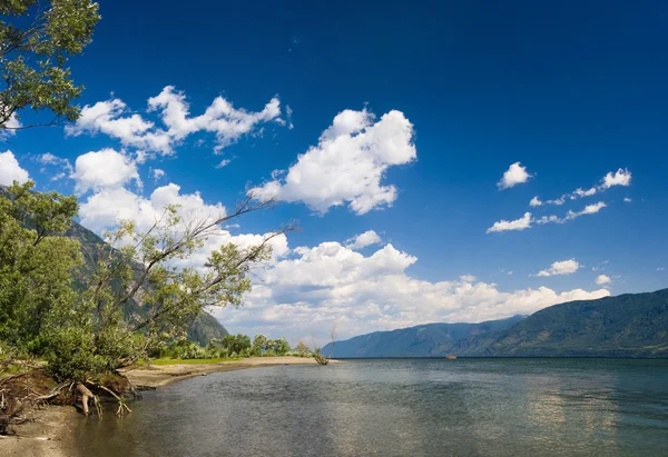 stock image Tree and mountain at lake coast